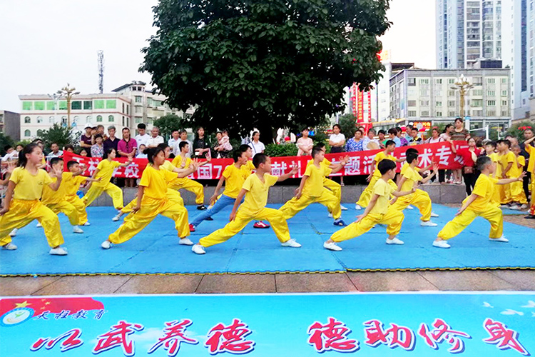 武术表演